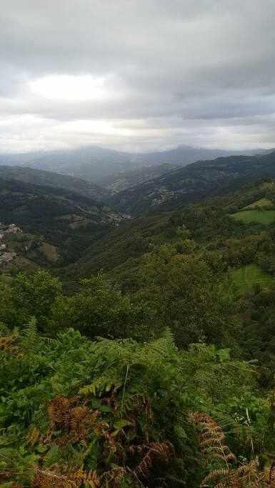 Encanto Asturiano Aller 外观 照片