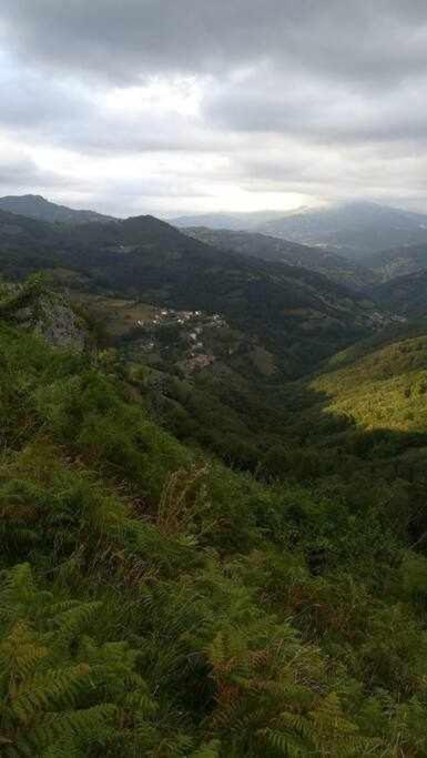 Encanto Asturiano Aller 外观 照片