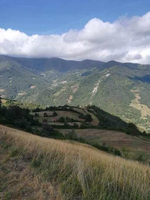 Encanto Asturiano Aller 外观 照片